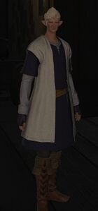 Elderly Elezen