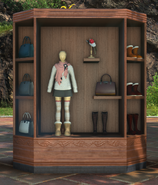 File:Designer's Show Window 1.png