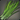 Swordgrass
