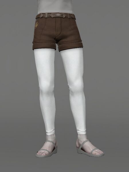 File:Carwen Tights Male.jpeg
