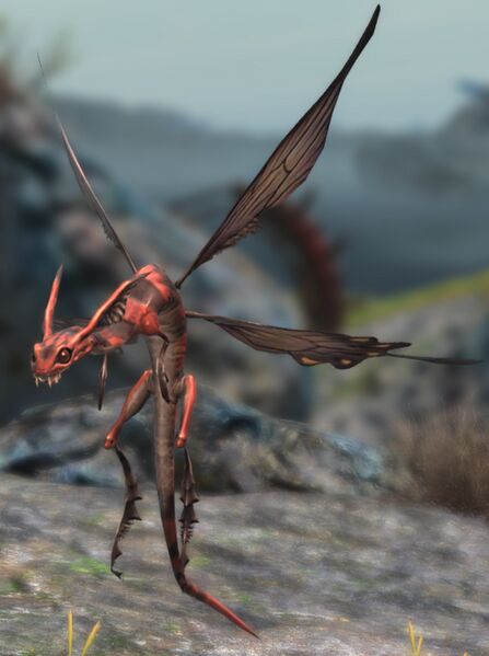 File:Dragonfly Chaser.jpg