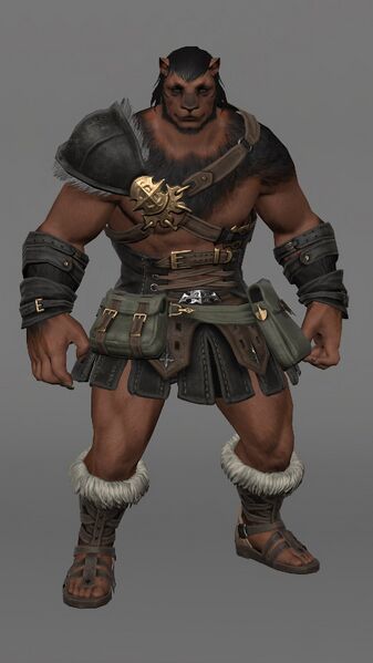 File:Hrothgar Attire M Male.jpeg