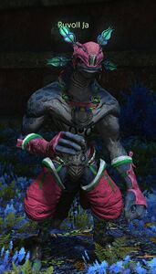 Ruvoll Ja, a Doppro male