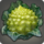 Broccoflower icon1.png