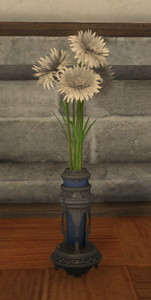 White Cornflowers