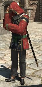 Elvaan Adventurer