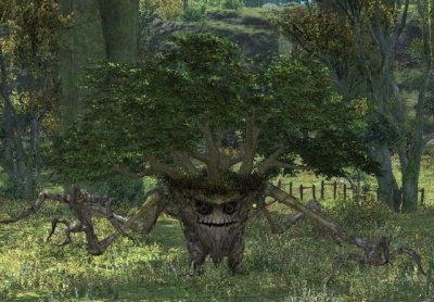 Treant Sapling - Final Fantasy XIV Online Wiki - FFXIV / FF14 Online ...