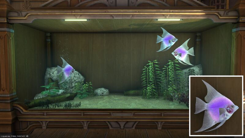File:Aquarium Preview Noblefish.jpg