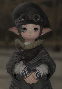 Mapopo