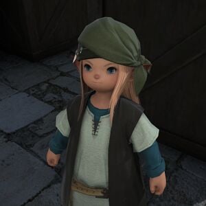 Suspicious Merchant