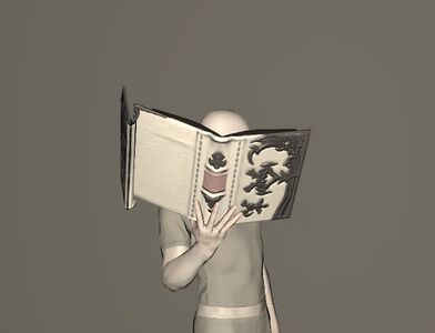 Unfinished Replica of the Omnilex