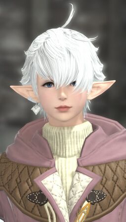 Outfit for cold weather in Endwalker