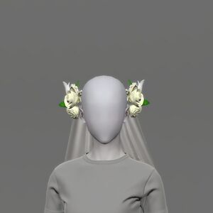 Veil of Eternal Passion