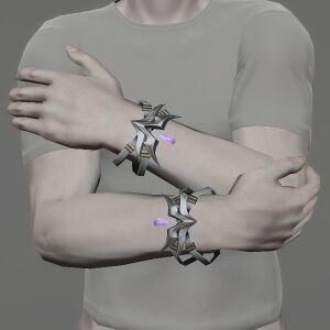 Palm Bracelets of Fending