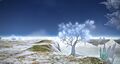 Thumbnail for version as of 08:05, 10 September 2026
