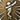 Black Ranger Pose A
