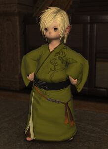 Stormblood Appearance