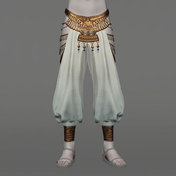 File:Story-spinner's Sarouel Male.jpeg