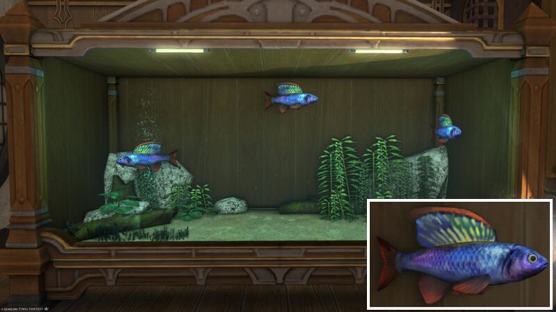 File:Aquarium Preview Radzbalik.jpg