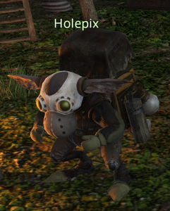 Holepix