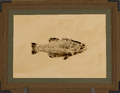 Thumbnail for version as of 19:05, 12 May 2026