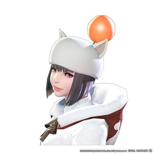 Moogle Cap - Increases EXP earned by 20% when level 10 and below.