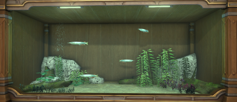 File:Dermogenys tank 1.png