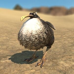 Dodo Glamoured