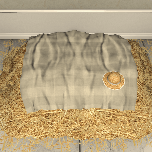 File:Farmer's Straw Bed.png