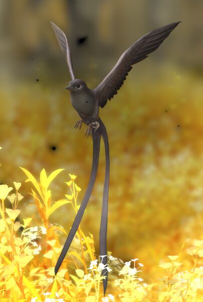 File:Meteion Dark Bird.jpg