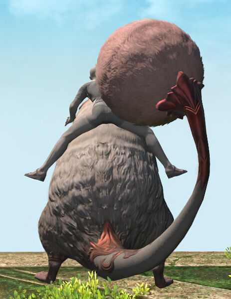 File:Silkie rear.jpg