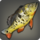 Yellow peacock bass icon1.png