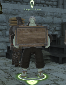 Roegadyn Porter