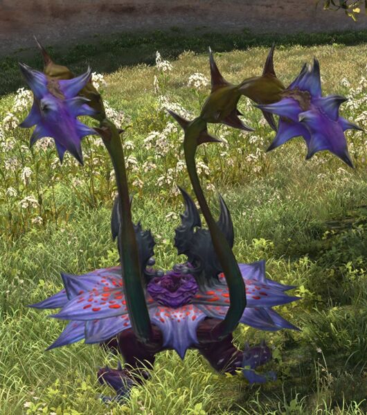 File:Salt Sapria.jpg