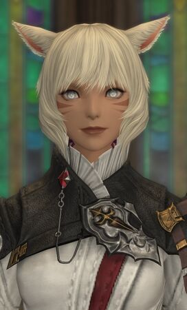 Portrait for Heavensward