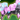 Cosmic Armored Weapon Beta