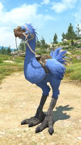 A Chocobo in the Raptor Blue color.