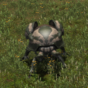 Appearance in Kozama'uka