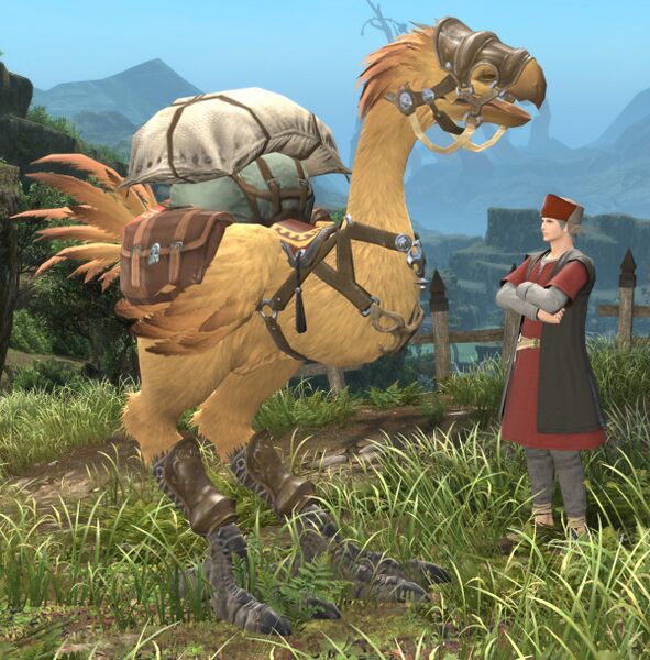 File:Cowerin Coachman with Chocobo.jpg