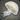 Island Jellyfish