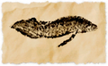 Thumbnail for version as of 11:47, 2 June 2026
